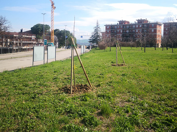 Piantumazioni